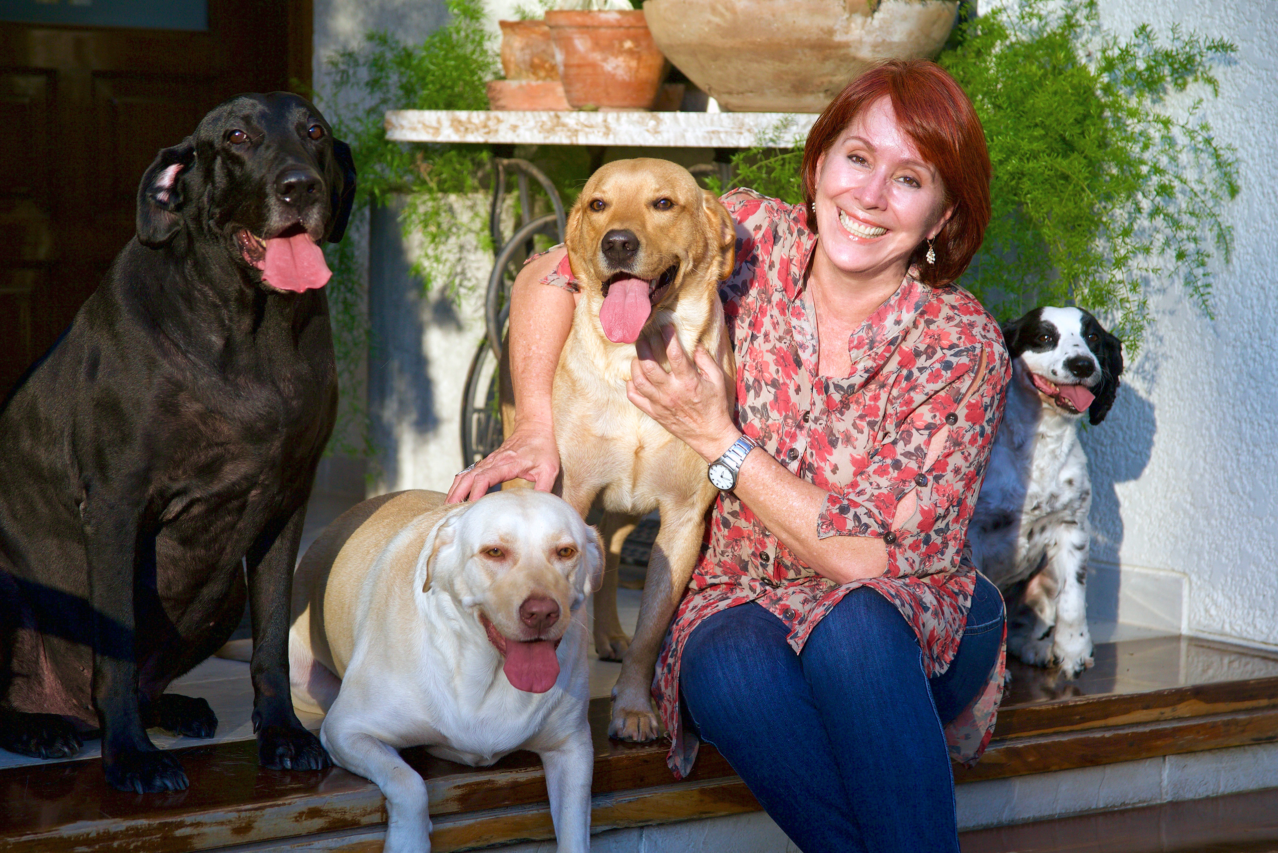 Bolivian Adventures - All kind of birds