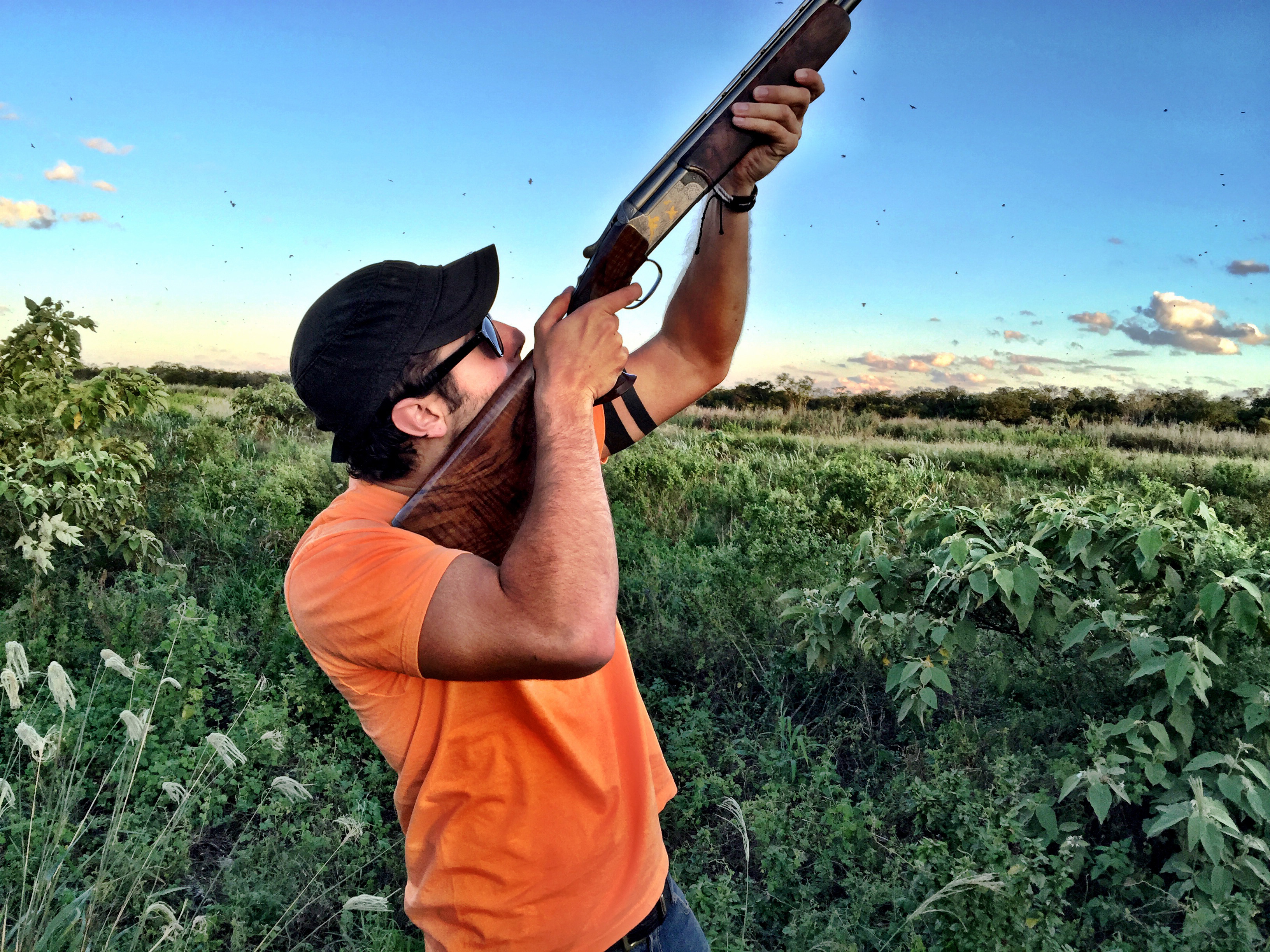 Bolivian Adventures - All kind of birds