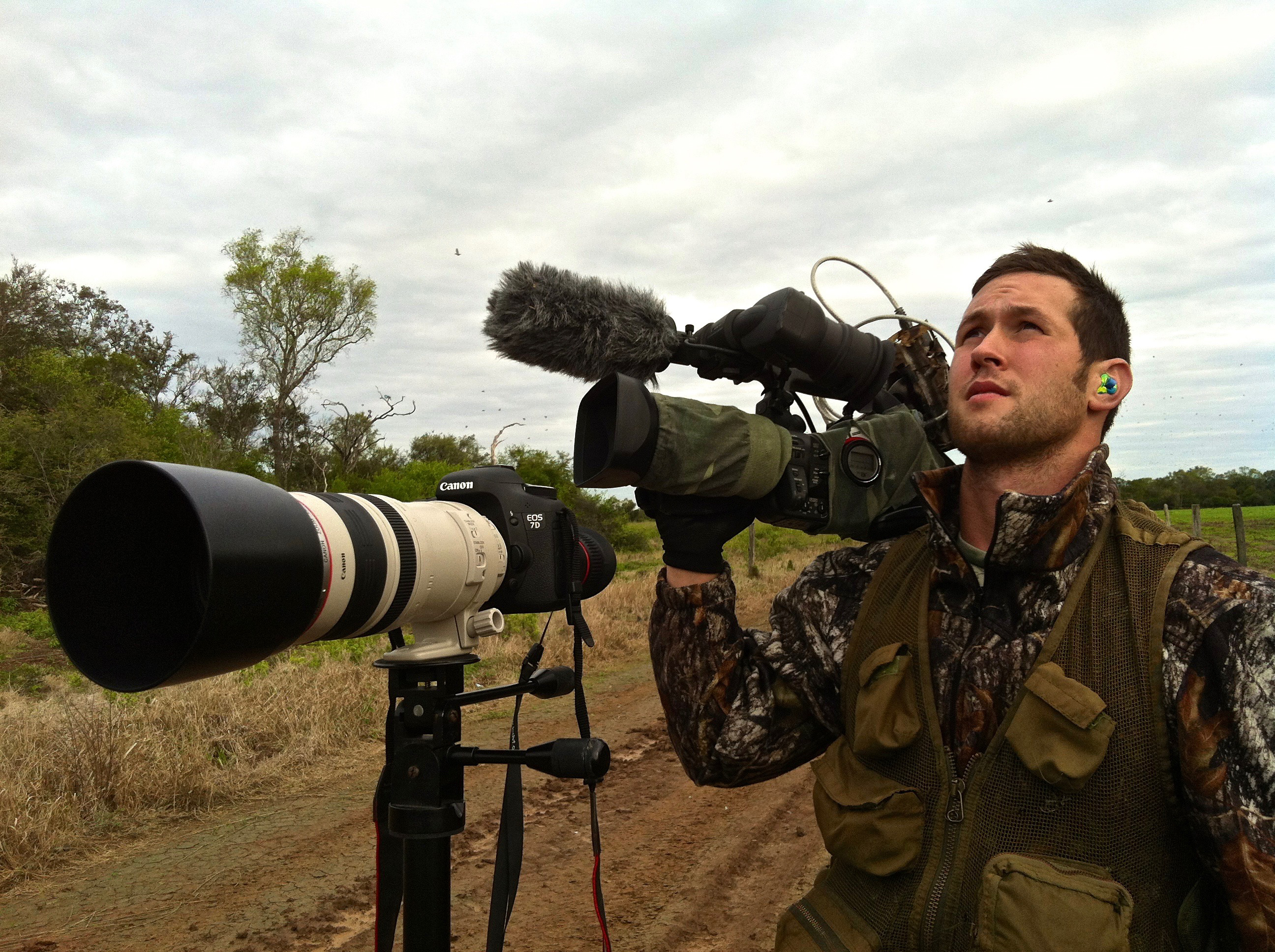 Bolivian Adventures - All kind of birds