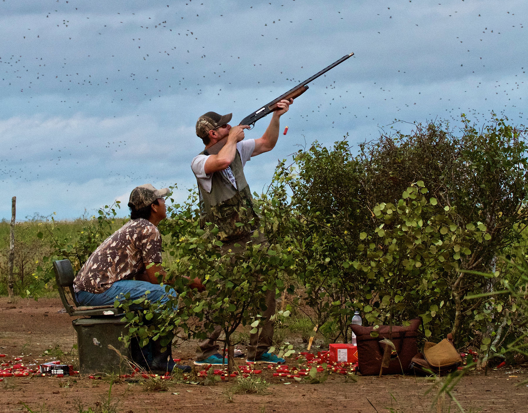 Bolivian Adventures - All kind of birds