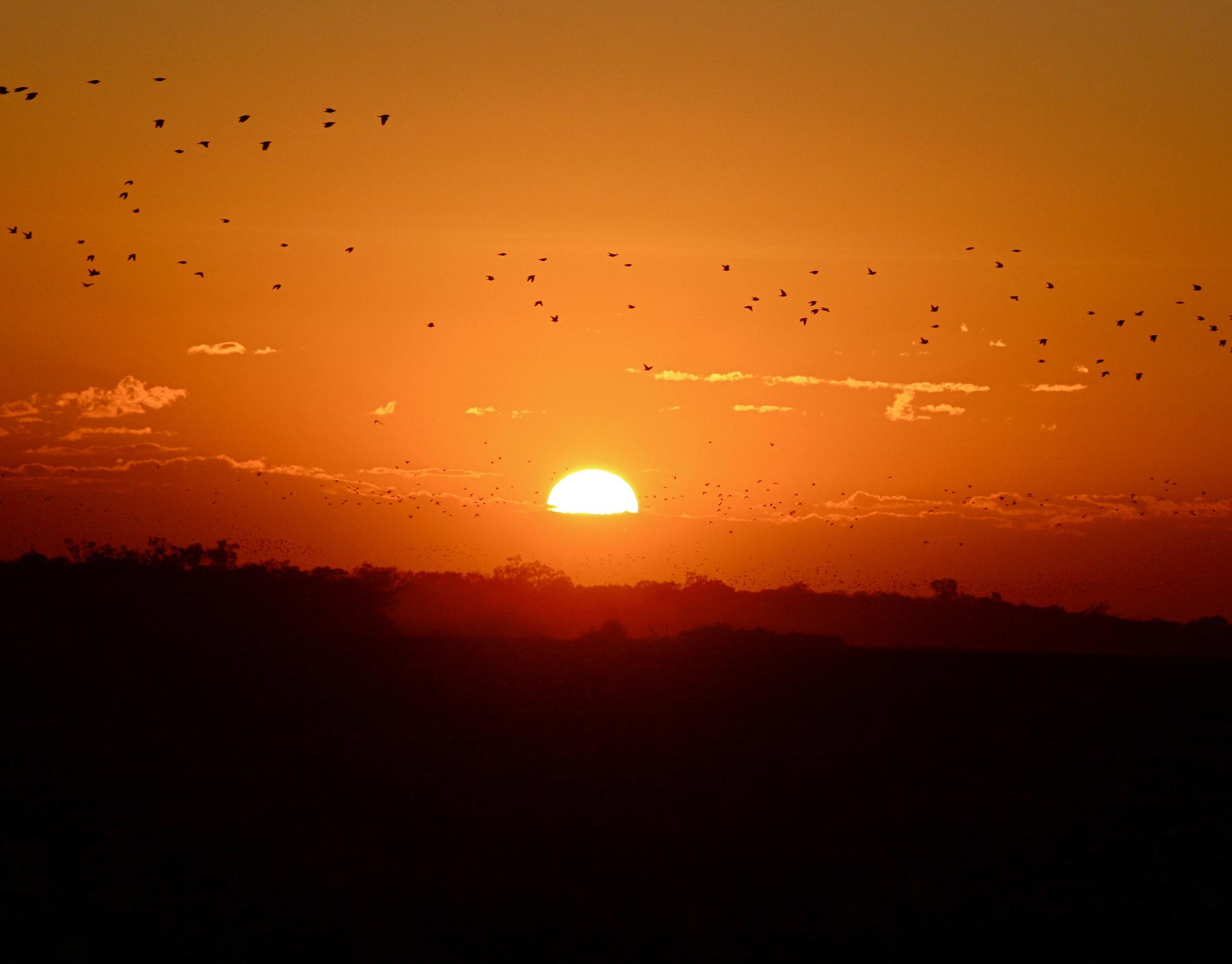Bolivian Adventures - Bolivian Hunting